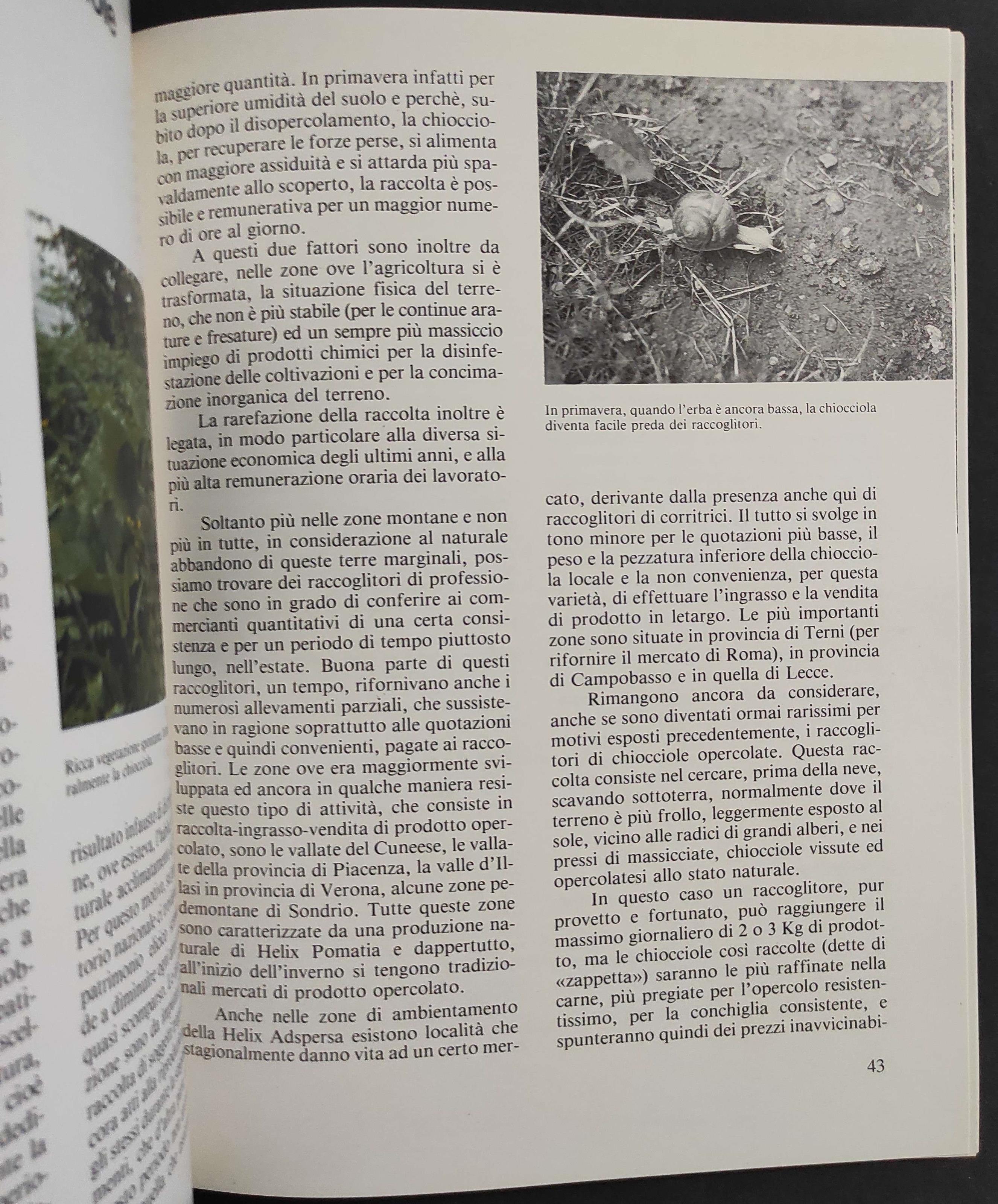 Principi di Elicicoltura