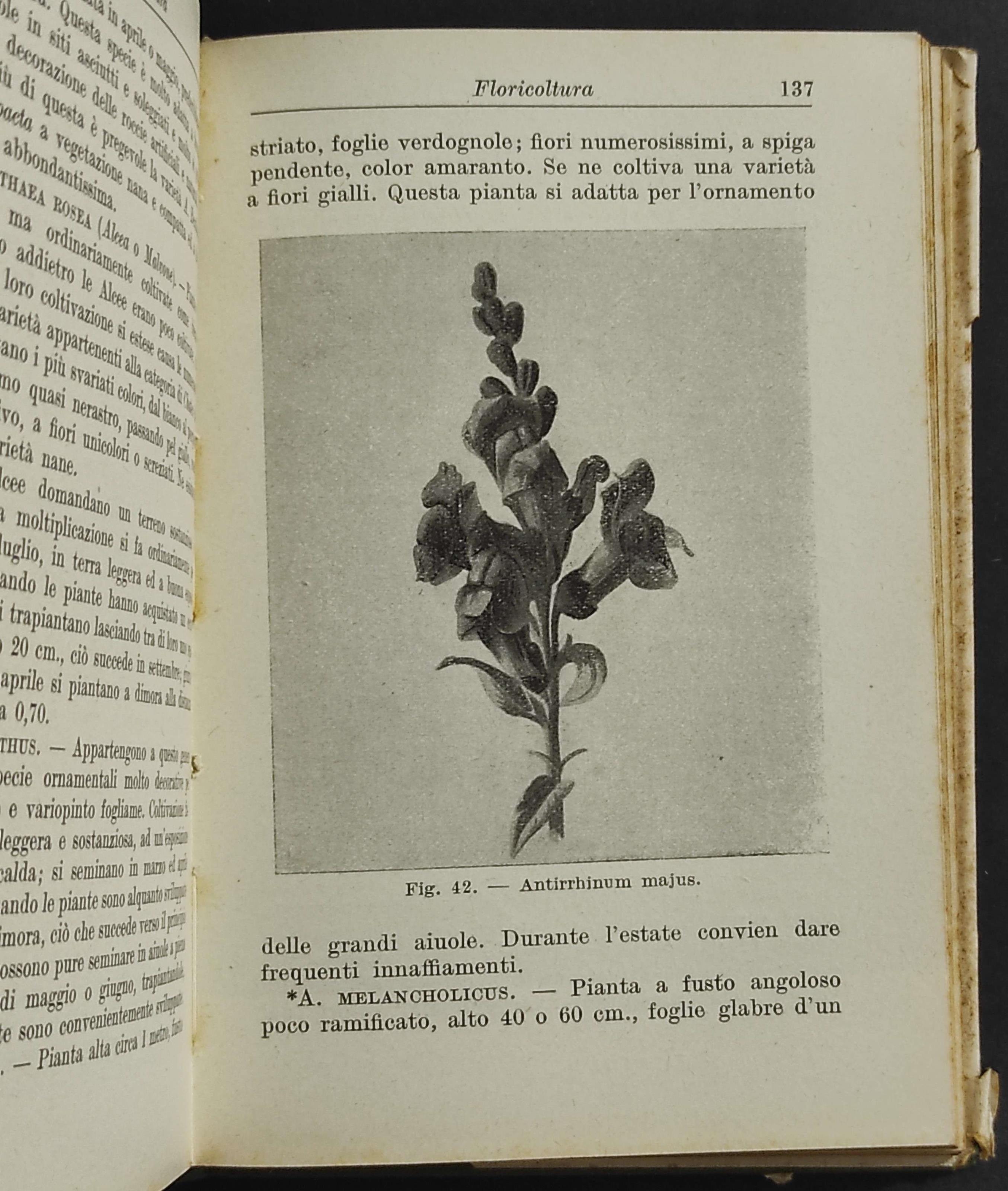 Manuale di Floricoltura