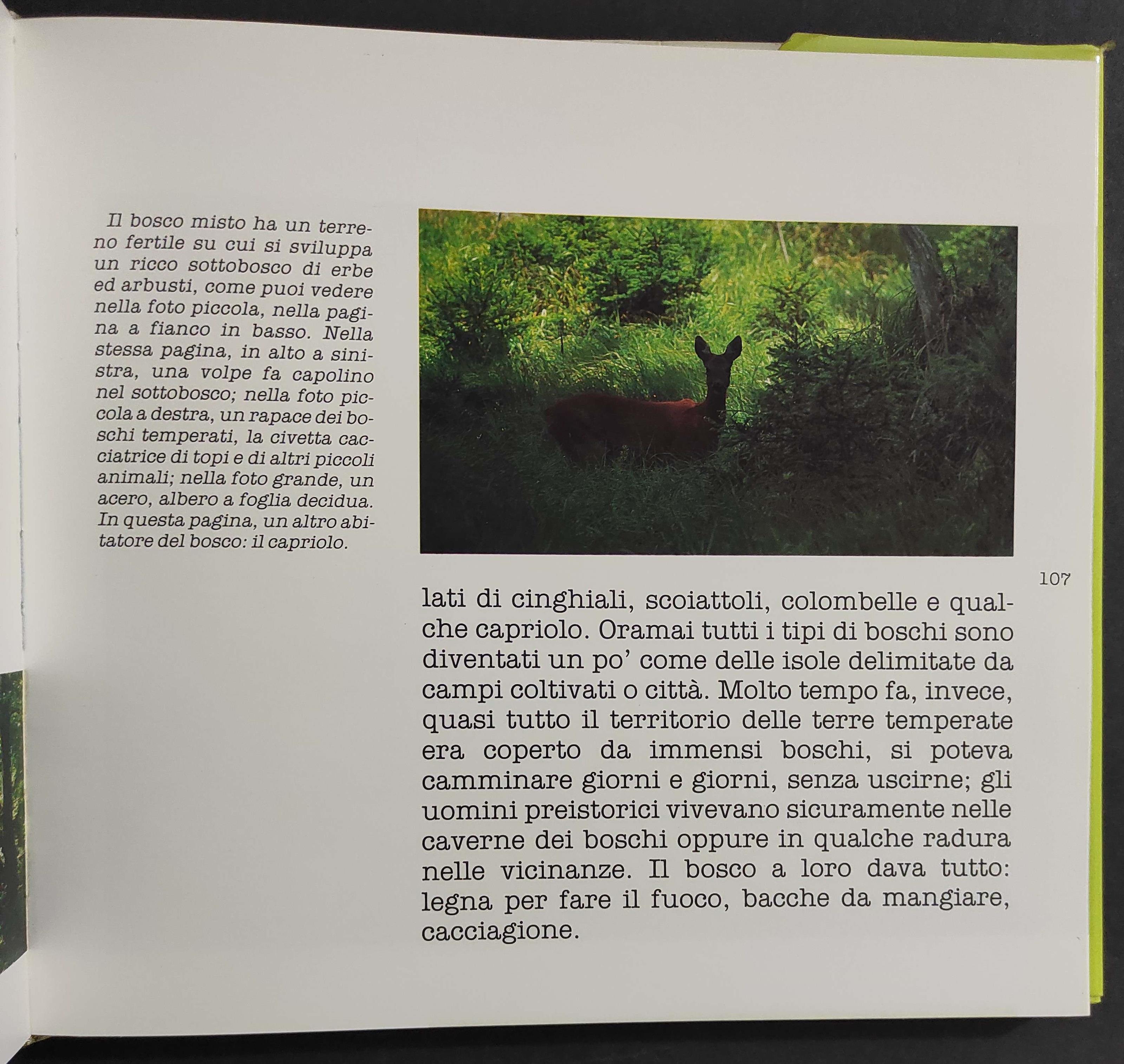Alla Scoperta del Nostro Pianeta