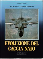 Velivoli da combattimento Evoluzione del caccia NATO