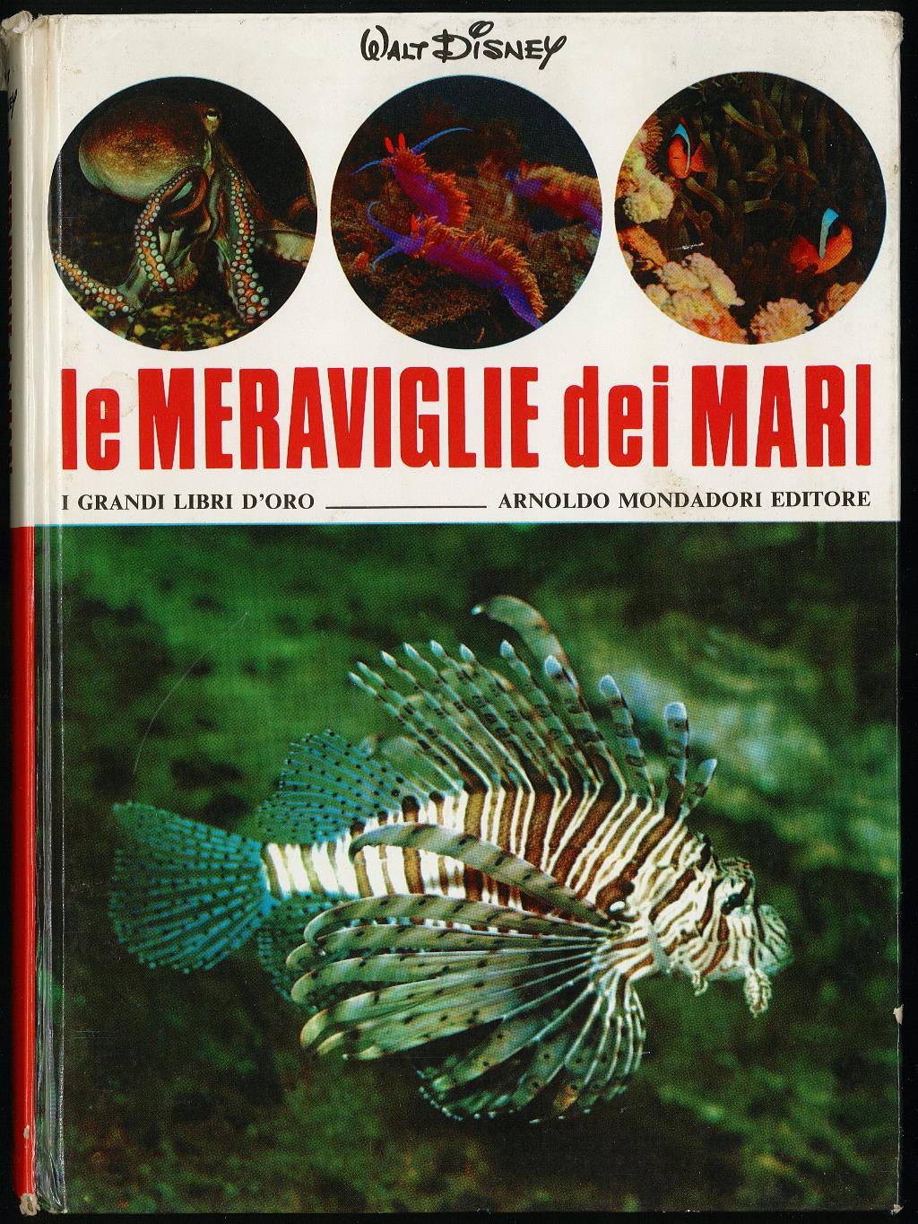 Libreria Trippini Sergio