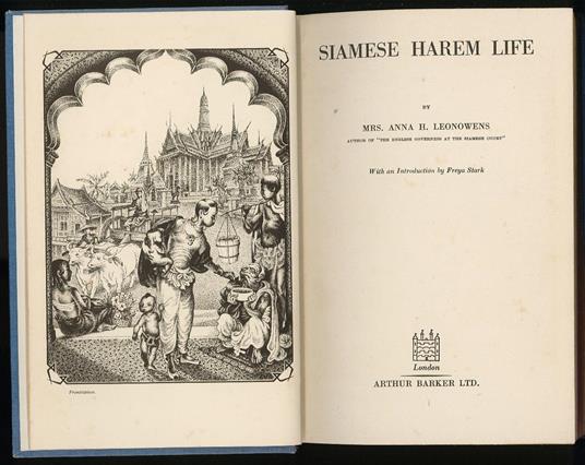 Siamese harem life - copertina