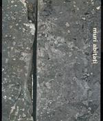 Muri abitati