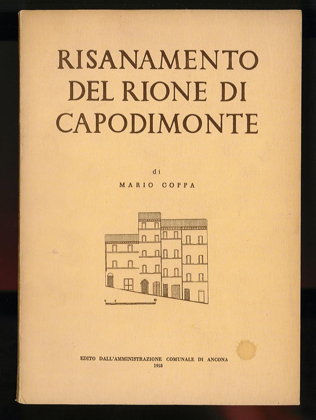 Libreria Trippini Sergio