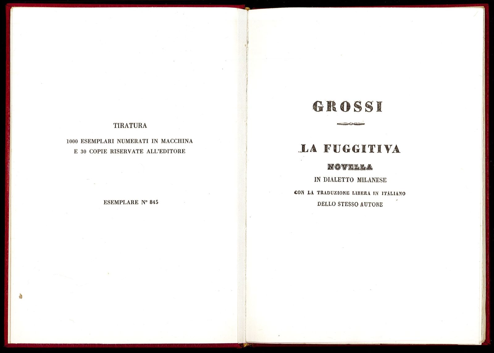 Libreria Trippini Sergio