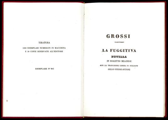 fuggitiva - Tommaso Grossi - copertina