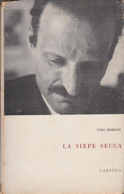 siepe secca - Gino Boriosi - copertina