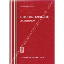 Il processo cautelare - Claudio Cecchella - copertina