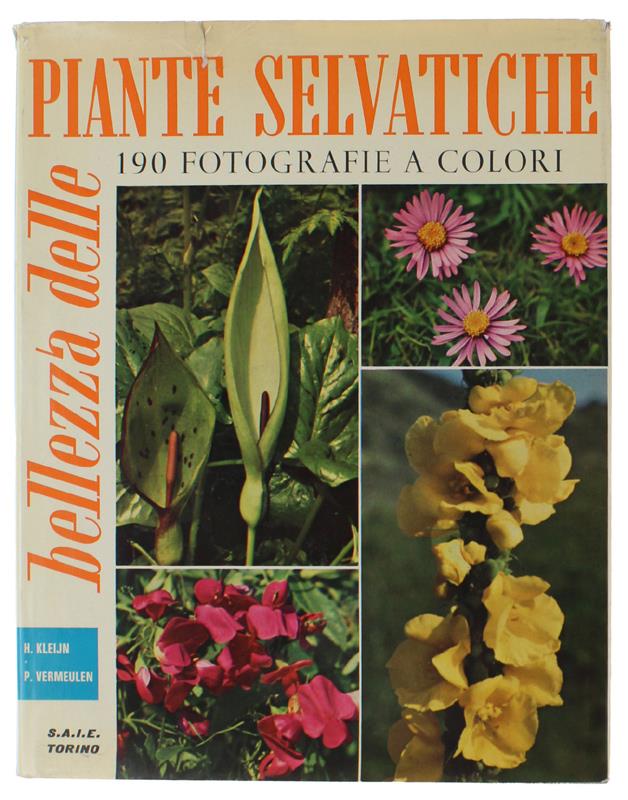 Bergoglio Libri d'Epoca Snc