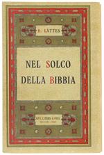 NEL SOLCO DELLA BIBBIA  [splendido, come nuovo] - Lattes Dante