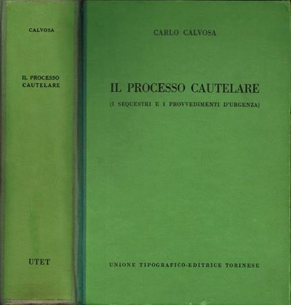 Il Processo Cautelare - copertina