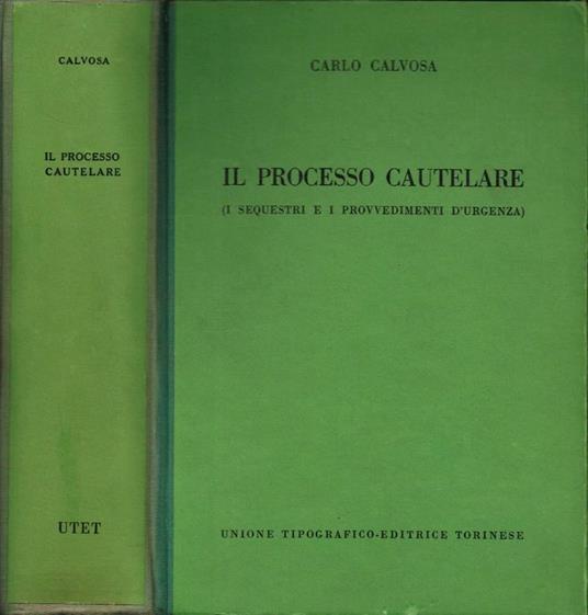 Il Processo Cautelare - copertina