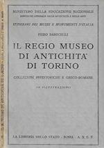 Il Regio Museo di Antichità di Torino - Collezioni preistoriche e greco-romane