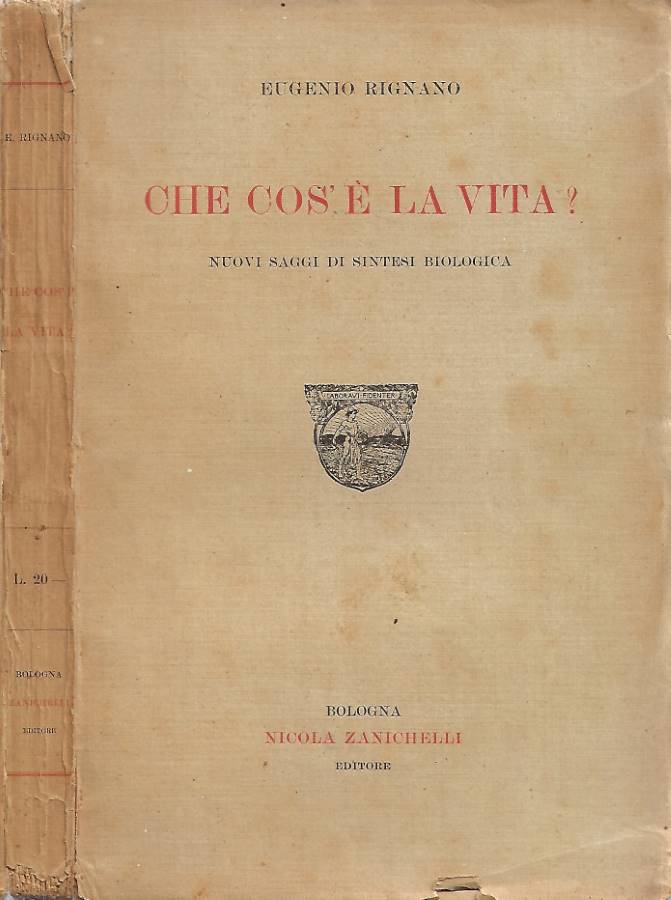 Biblioteca di Babele