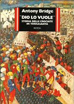 Dio lo vuole. Storia delle crociate in Terrasanta
