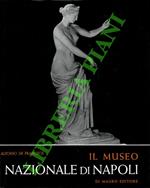 Il Museo Nazionale di Napoli