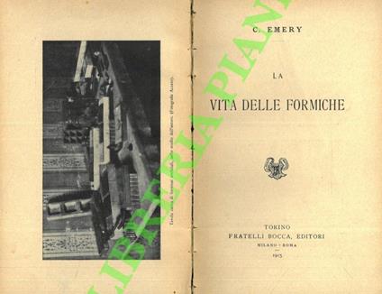 vita delle formiche. - Carlo Emery - copertina