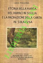 Storia della pianta del papiro in Sicilia e la produzione della carta in Siracusa