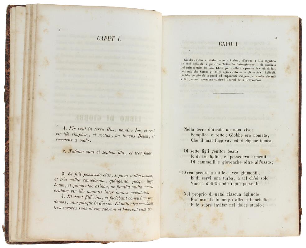 Il Giobbe Tradotto In Terza Rima