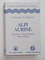 Alpi Aurine. BrŠnnero - Gran Pilastro - Vetta d'Italia