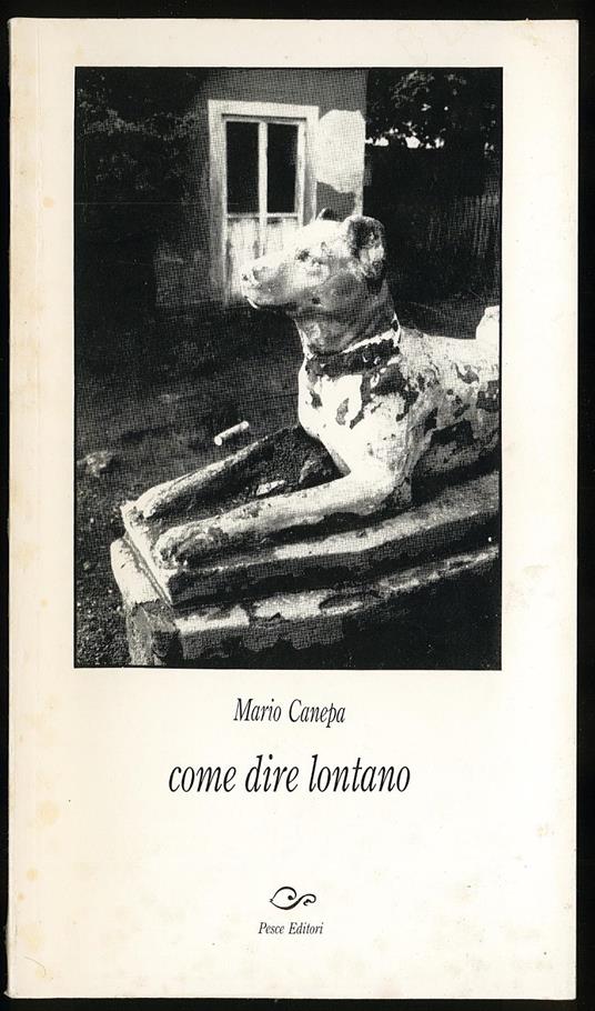 Come dire lontano - Mario Canepa - copertina