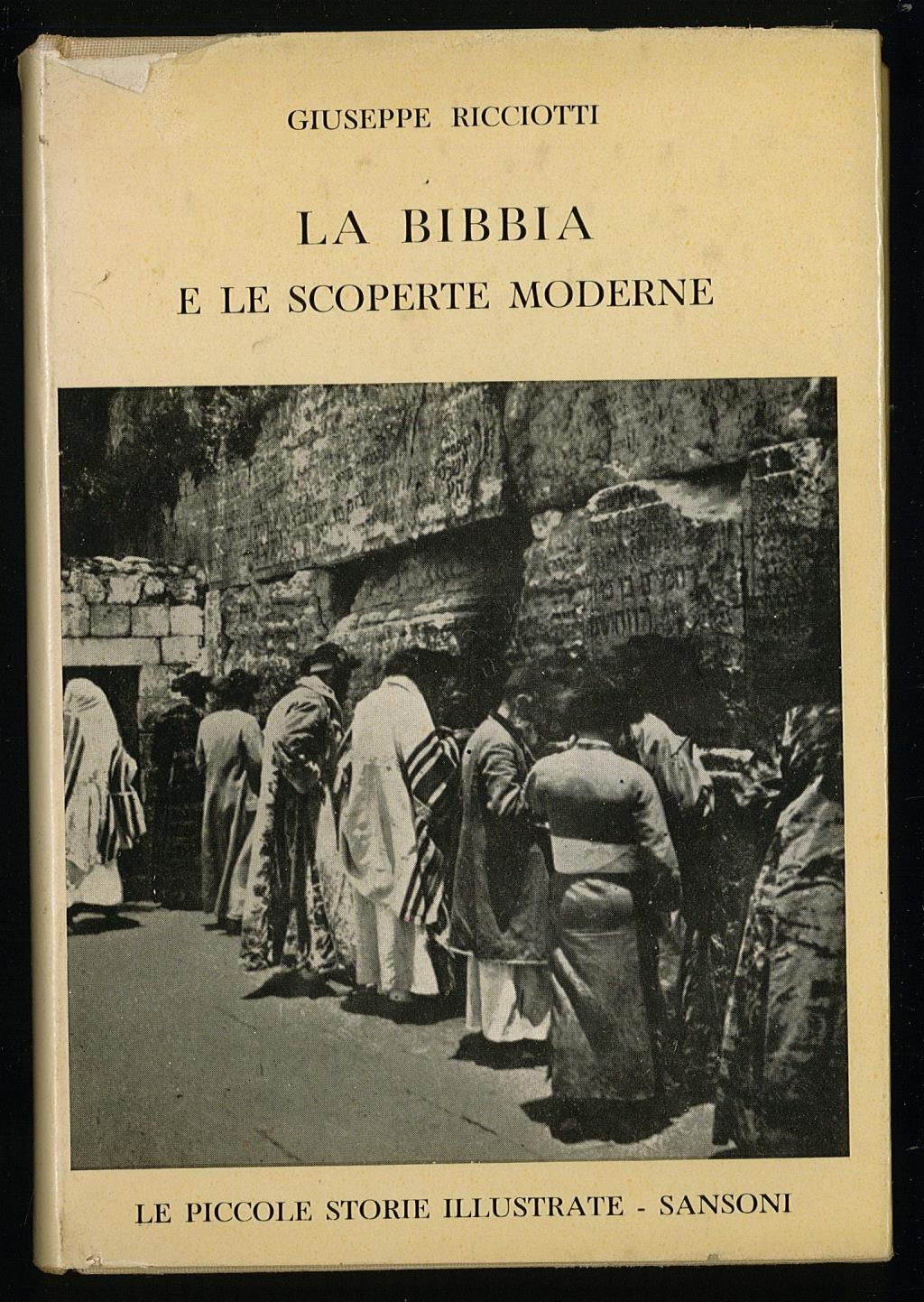 Libreria Trippini Sergio