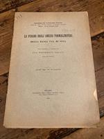 Le pieghe degli gneiss tormaliniferi della Bassa Val di Susa. Congresso dei Naturalisti Italiani promosso dalla Società Italiana di Scienze Naturali. Milano, 15-19 settembre 1906. Nota presentata al Congresso. Estratto dagli Atti del Congresso