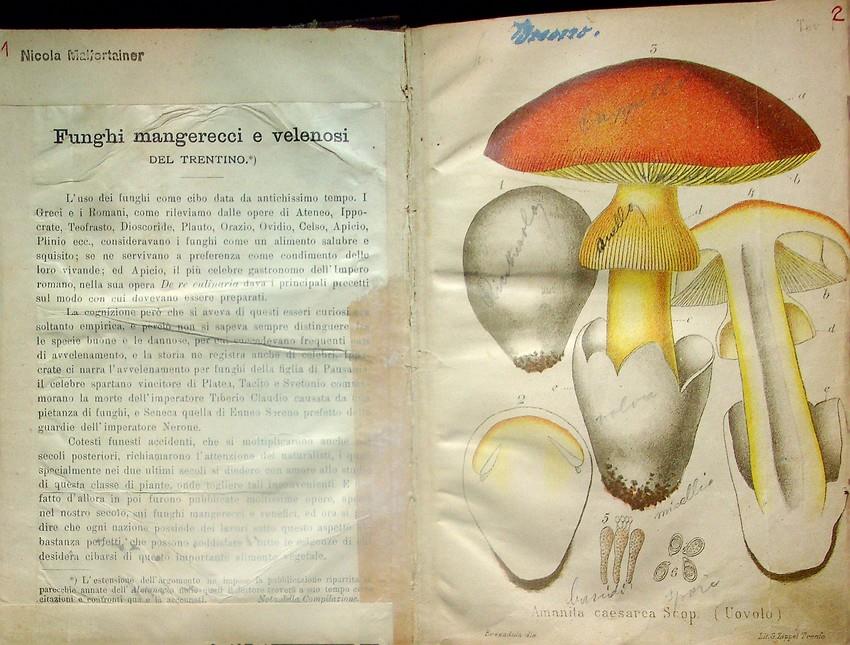 Studio Bibliografico Adige