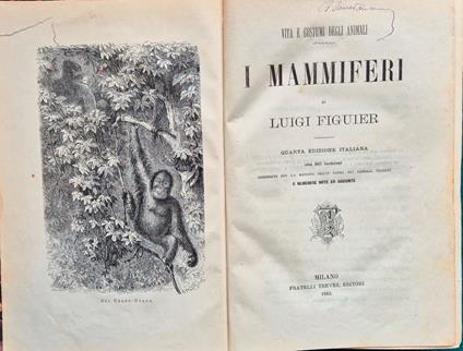 Vita e costumi degli animali - I mammiferi - Luigi Figuier - copertina