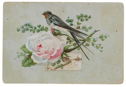 La LAGO MAGGIORE: Cartoncino / souvenir vintage. Cromolitografia mm 120x82 - copertina