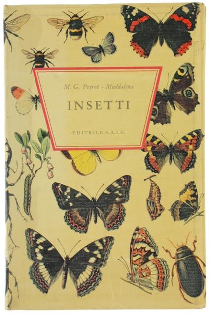 INSETTI. - copertina