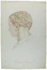Tavola originale: PORRIGINE FORFORACEA. , N. 14 (da: CLINICA DEL PARIGINO SPEDALE DI S.LUIGI OSSIA TRATTATO COMPIUTO DELLA PELLE ...)