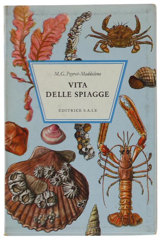 VITA DELLE SPIAGGE. - copertina