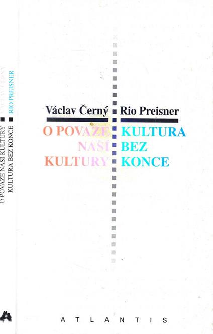 O povaze nazi kultury- Kultura bez konce - copertina