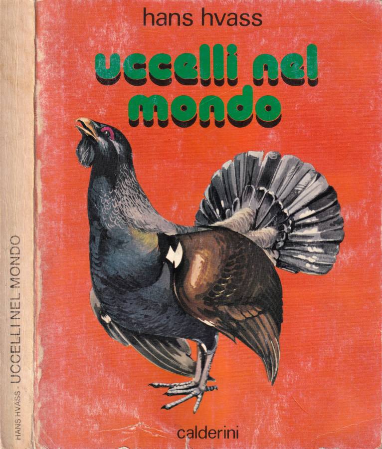 Biblioteca di Babele