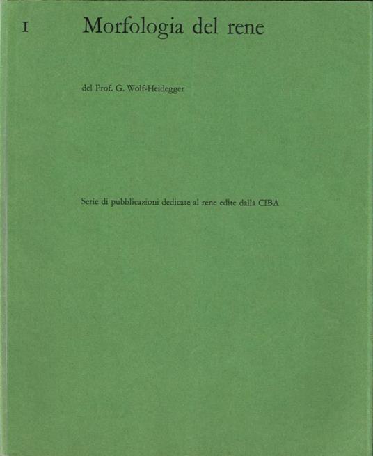 Morfologia del rene - copertina