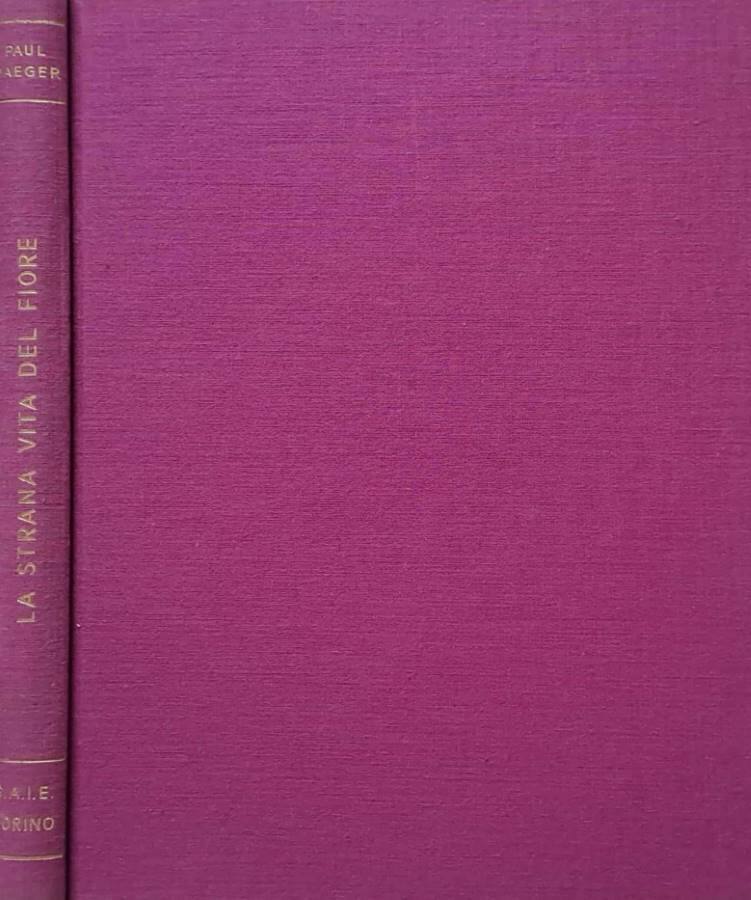 Biblioteca di Babele