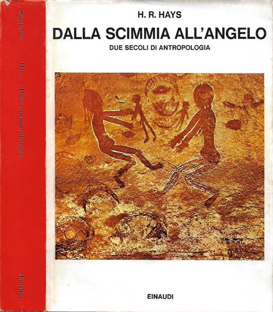 Dalla scimmia all'angelo - copertina