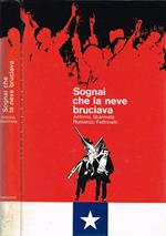 Sognai che la neve bruciava