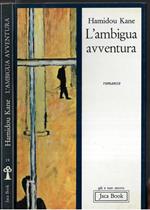 L' ambigua avventura