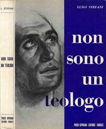 Non sono un teologo - Luigi Stefani - copertina