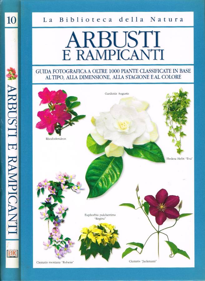 Biblioteca di Babele