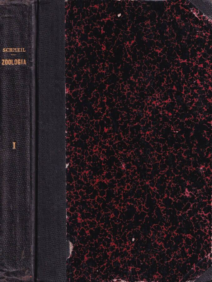 Biblioteca di Babele