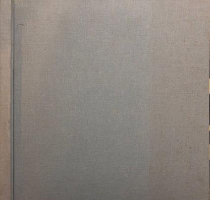 Per il restauro delle facciate esterne di Palazzo Budini Gattai - copertina