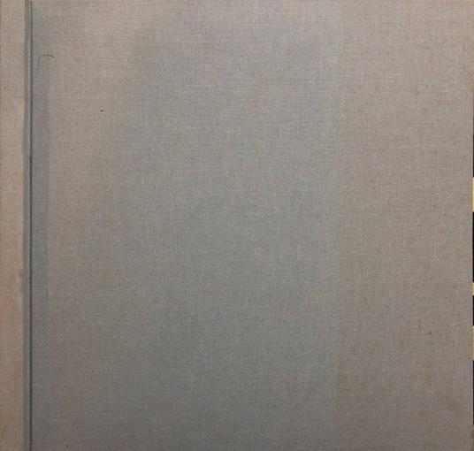 Per il restauro delle facciate esterne di Palazzo Budini Gattai - copertina