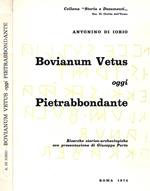 Bovianum Vetus oggi Pietrabbondante