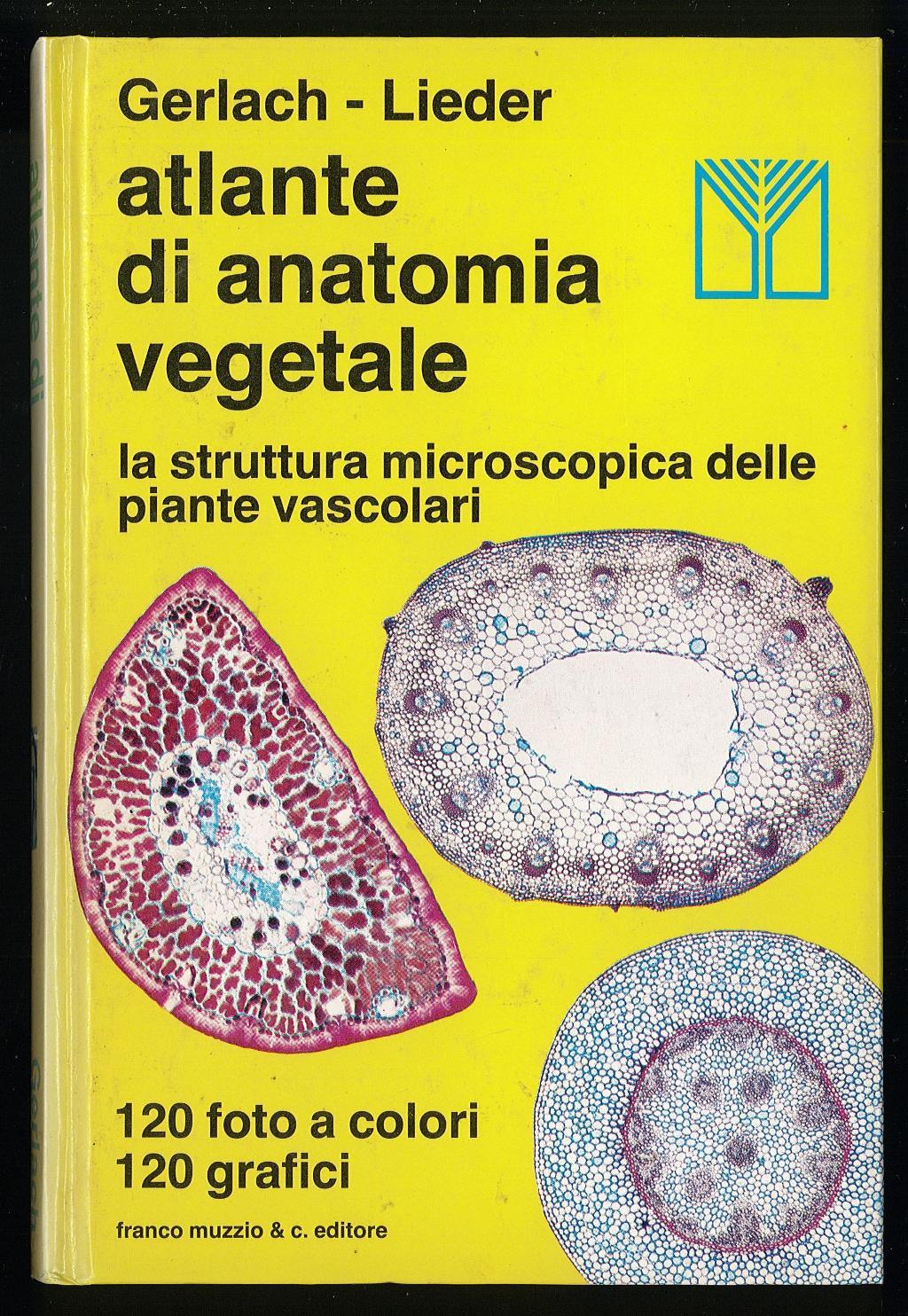 Libreria Trippini Sergio