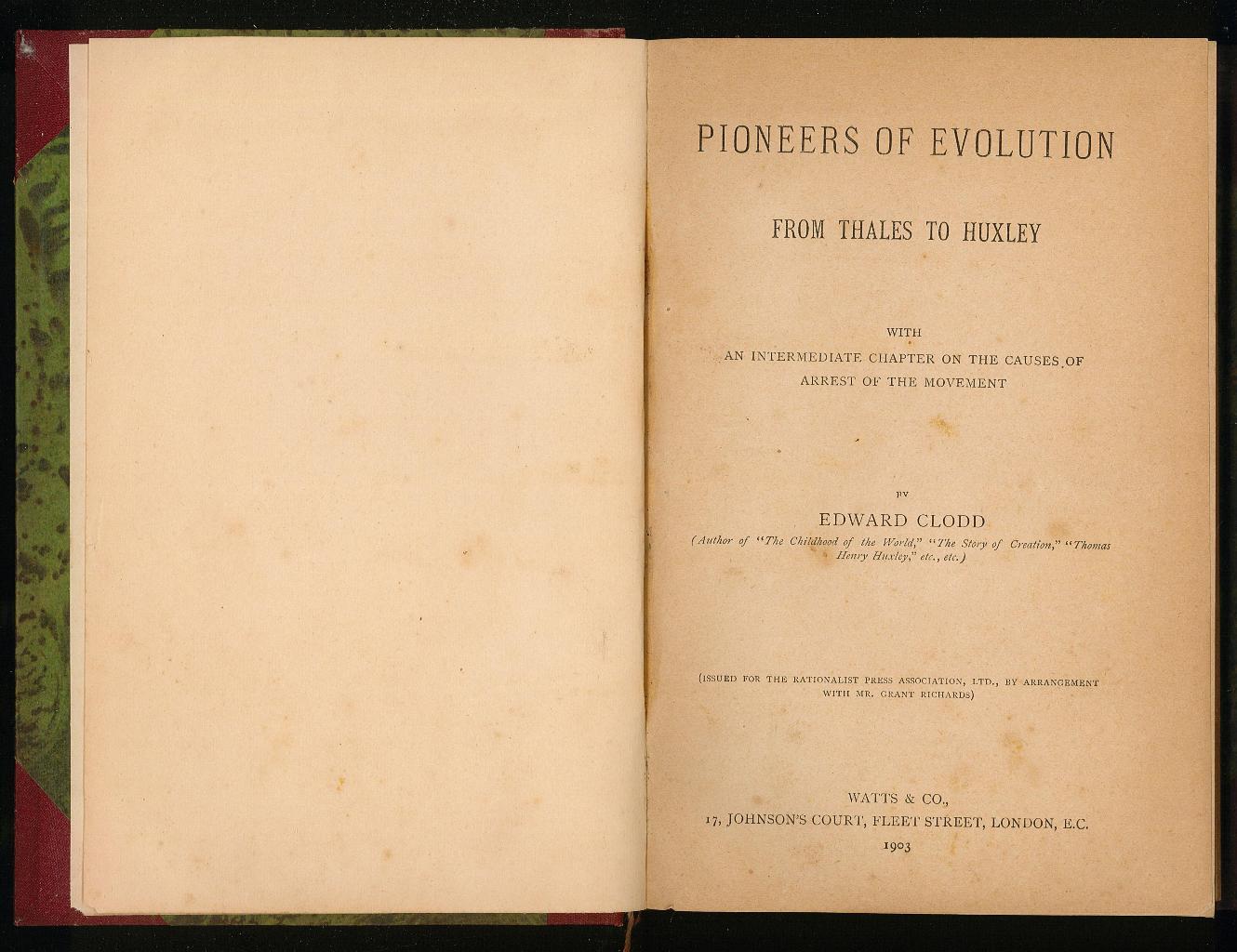 Libreria Trippini Sergio