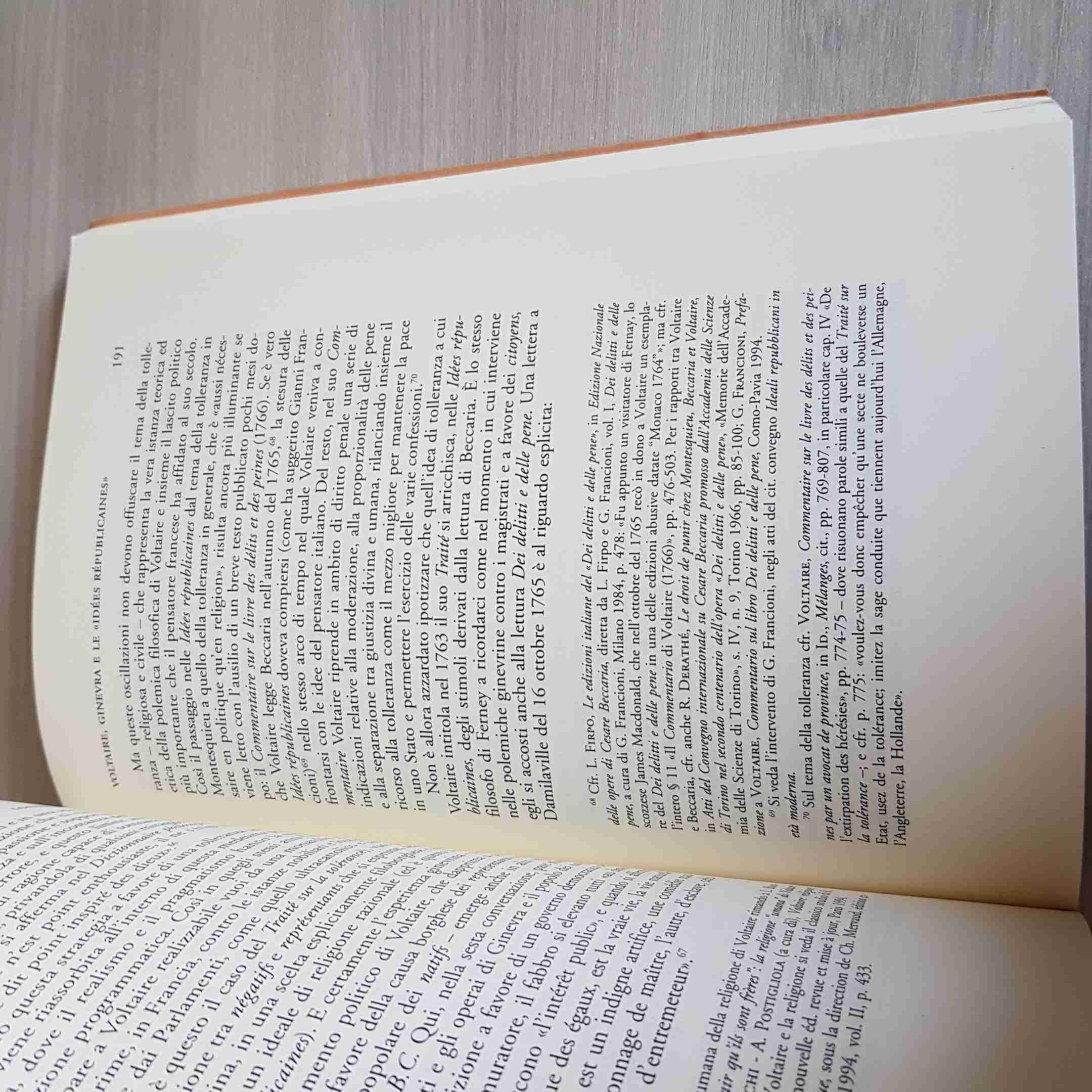 STUDI SETTECENTESCHI 20 voltaire scetticismo bayle verri hume BIBLIOPOLIS 2000