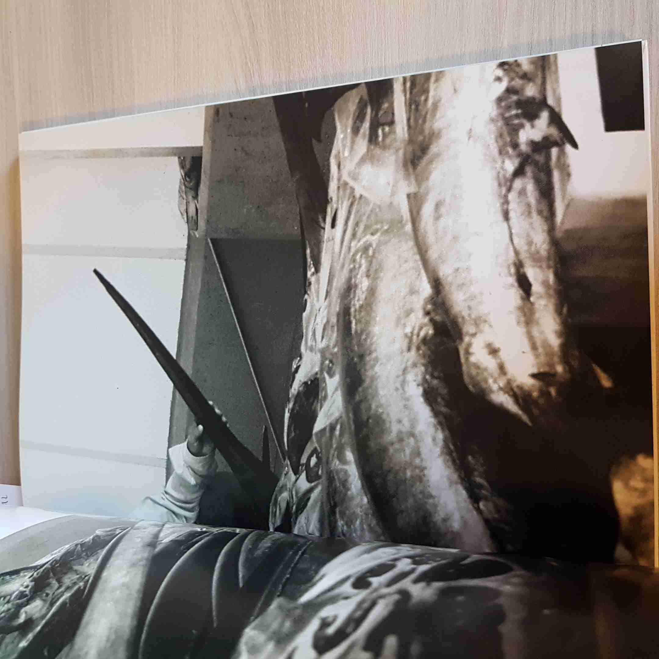 Foie Gras, Caviale, Salmone & Oca Interpretati Da 31 Grandi Chefs - 2002